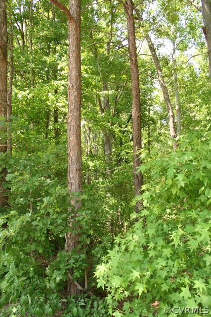 0 Nichols Road Powhatan, VA 23139 - Photo 3 of 7 Gallery Image 3