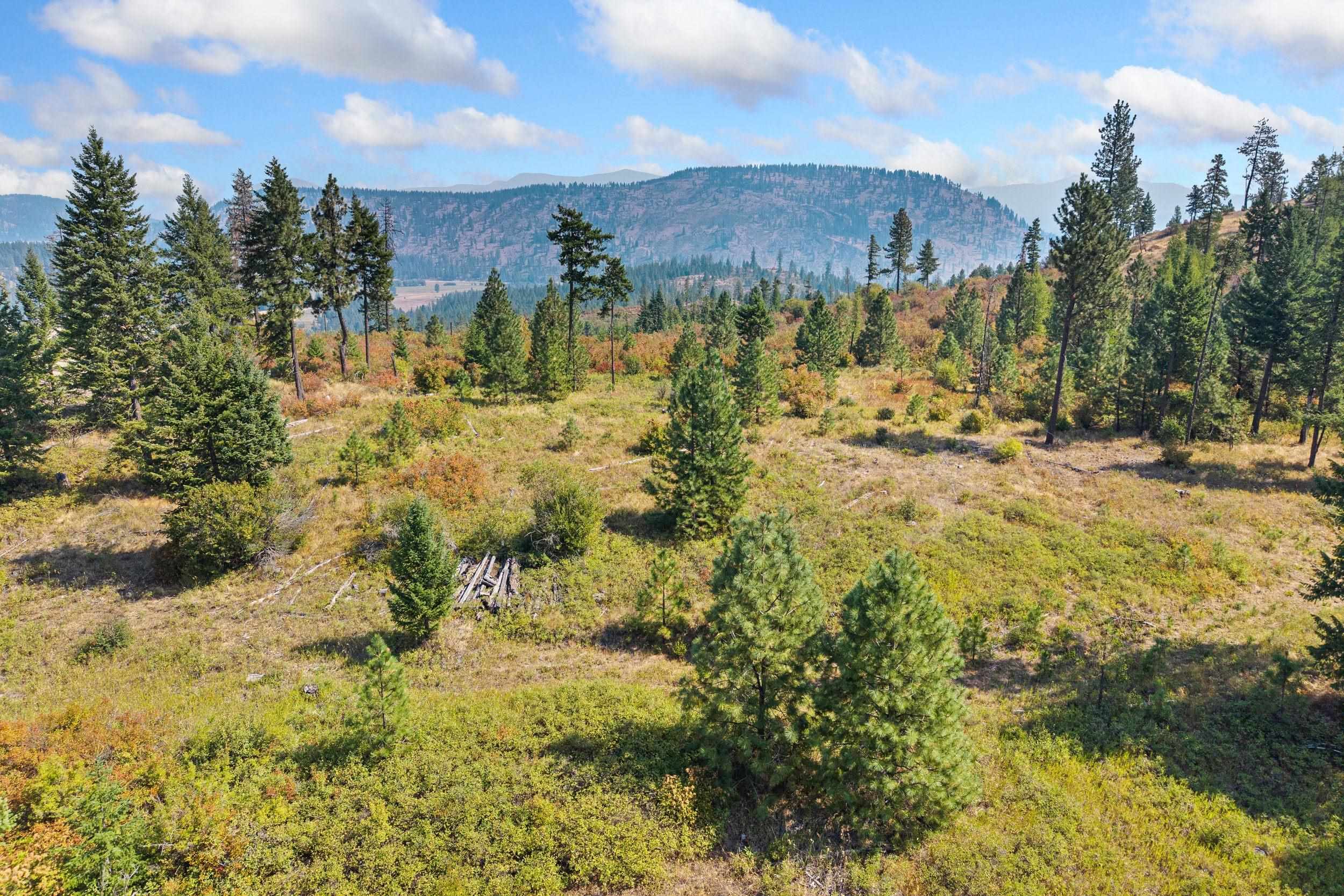 Nka Hoag Road Valley, WA 99181 - Photo 4 of 35 Gallery Image 4