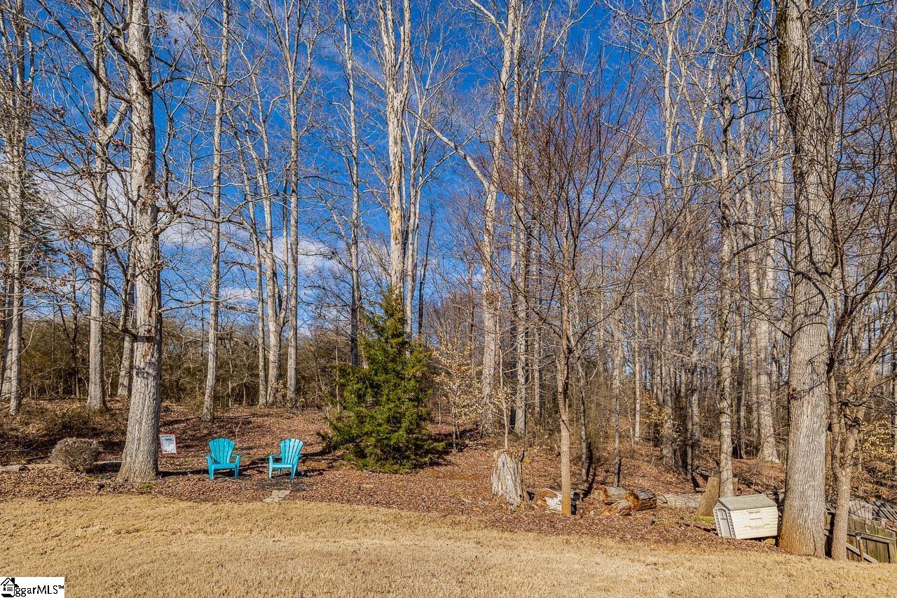 308 Rivers Edge Circle Simpsonville, SC 29680 - Photo 23 of 29