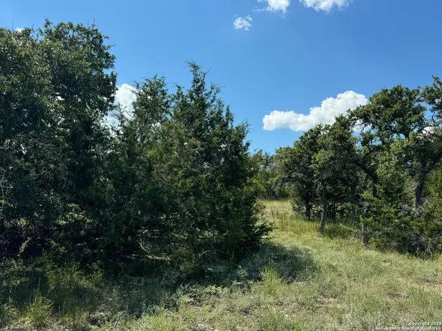 $85,000 | 114 Peter Kleid Loop, Blanco, TX 78606