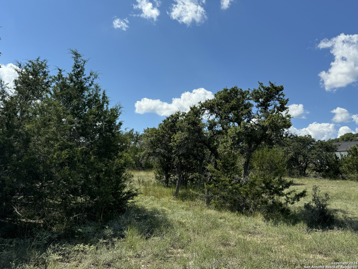 114 Peter Kleid Loop Blanco, TX 78606 - Photo 12 of 17