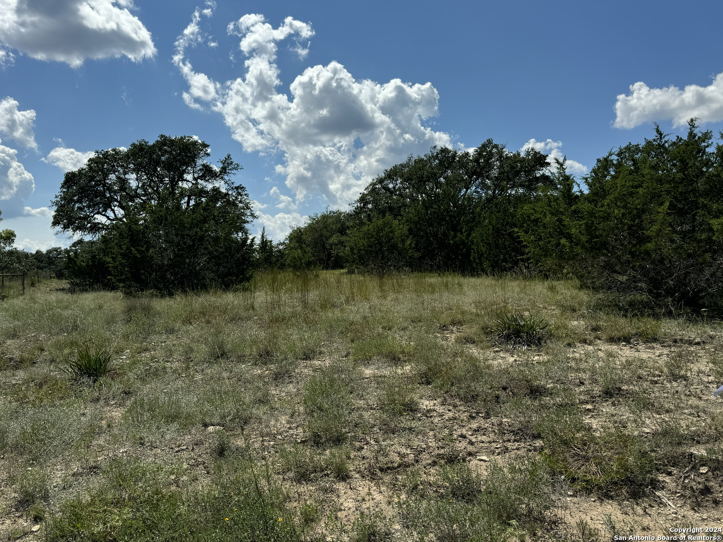 114 Peter Kleid Loop Blanco, TX 78606 - Photo 14 of 17