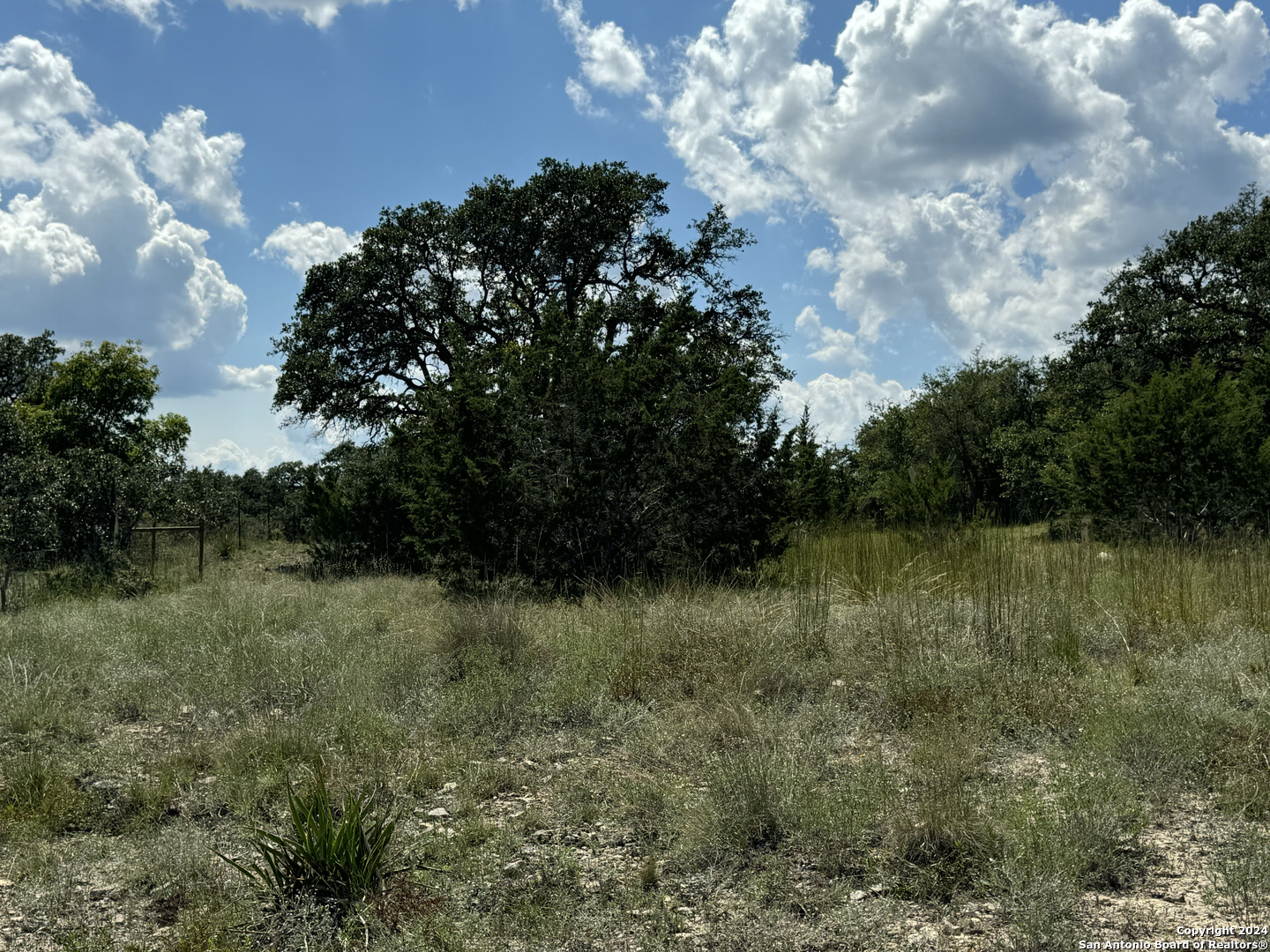 114 Peter Kleid Loop Blanco, TX 78606 - Photo 15 of 17