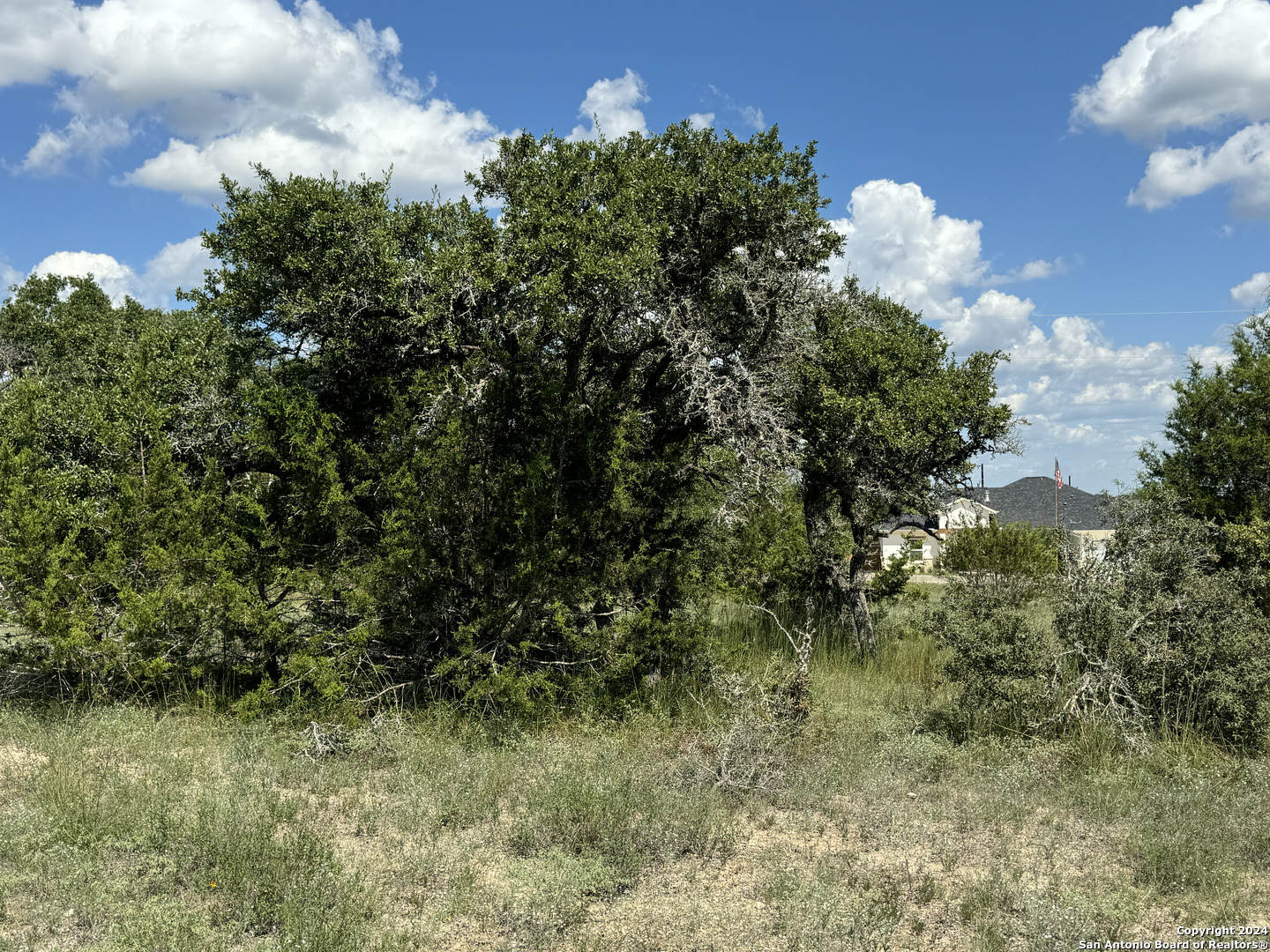 114 Peter Kleid Loop Blanco, TX 78606 - Photo 16 of 17