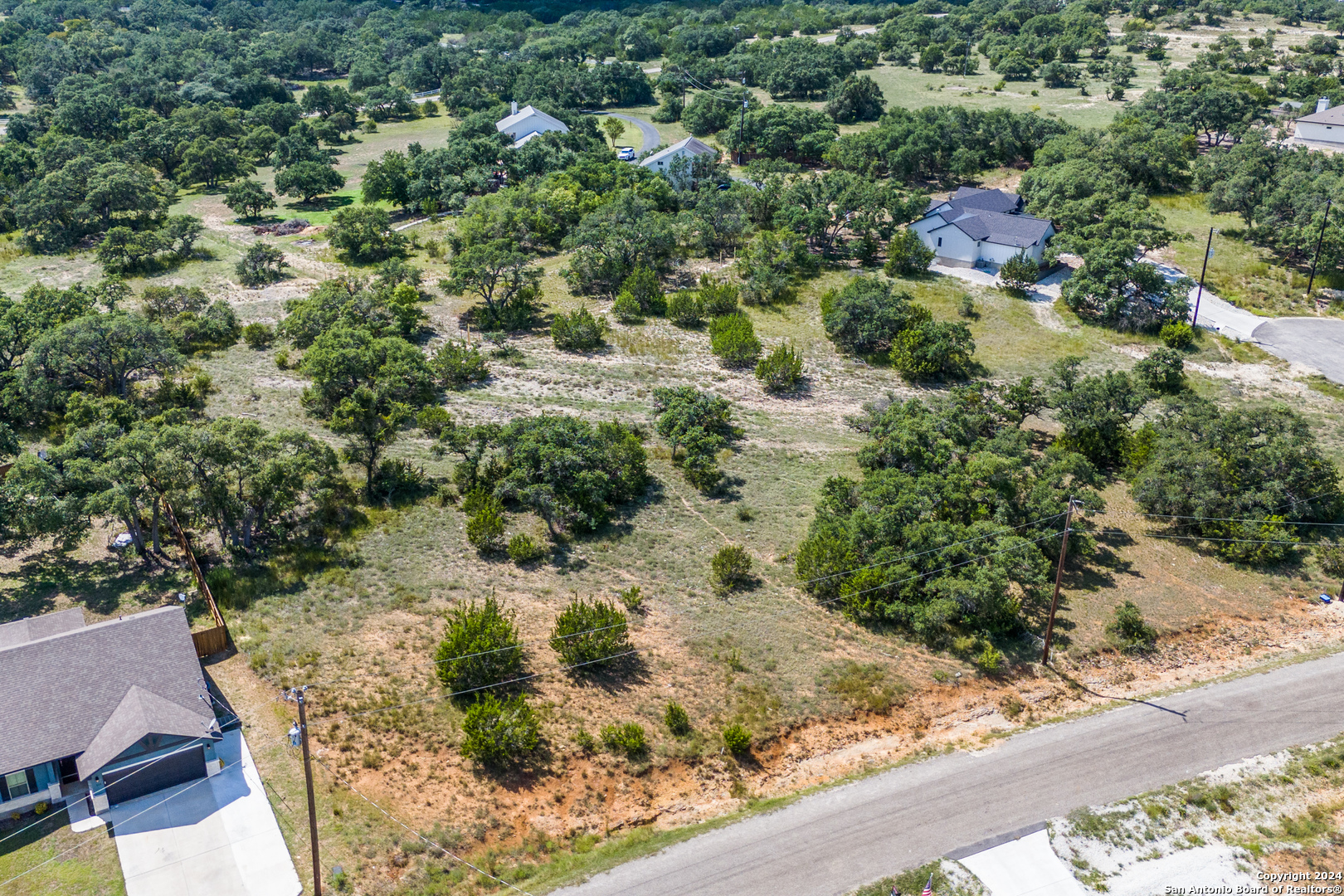 114 Peter Kleid Loop Blanco, TX 78606 - Photo 3 of 17