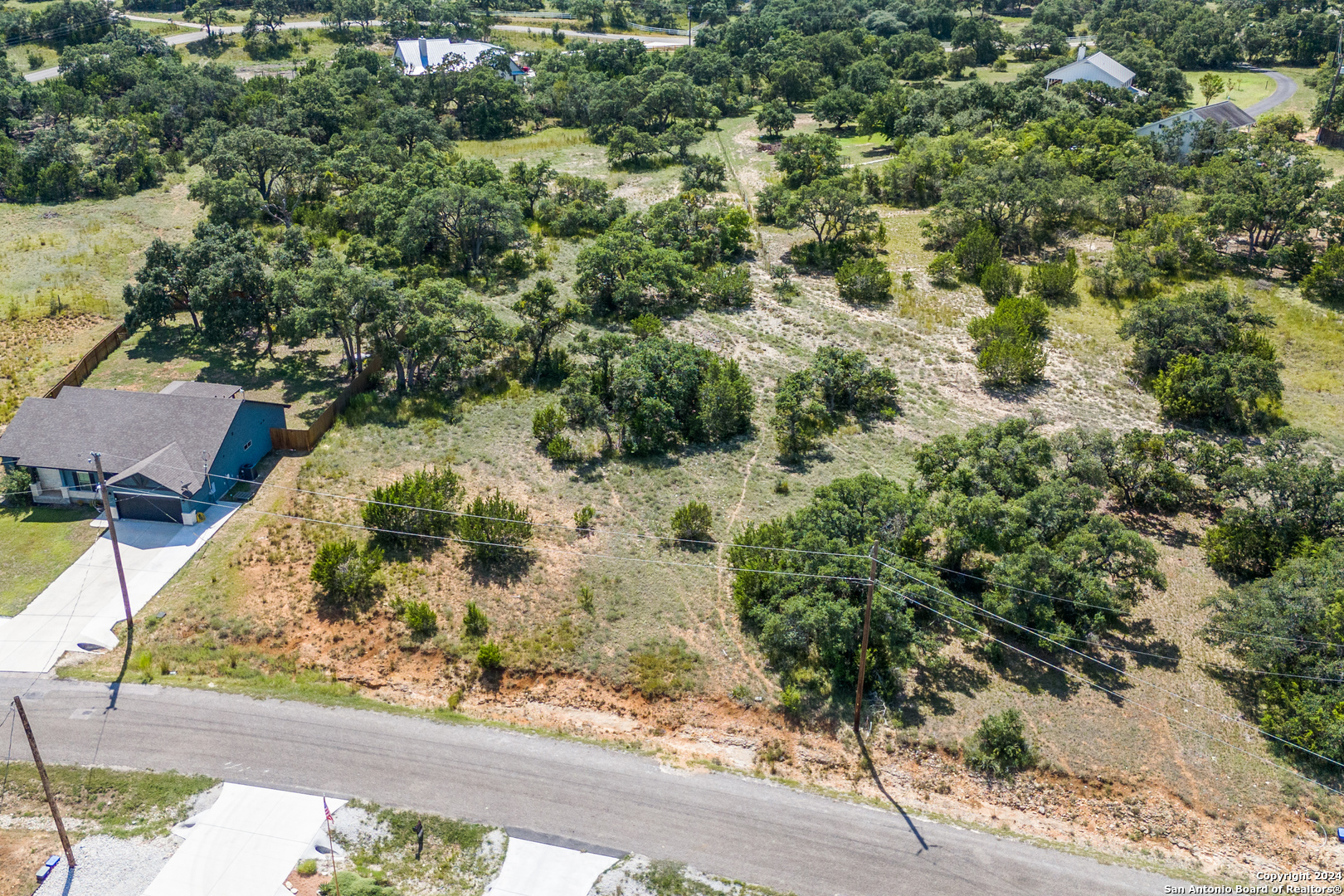 114 Peter Kleid Loop Blanco, TX 78606 - Photo 4 of 17