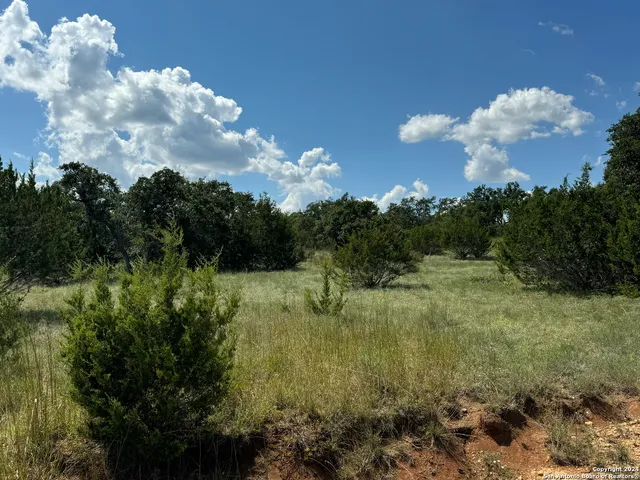 $85,000 | 114 Peter Kleid Loop, Blanco, TX 78606