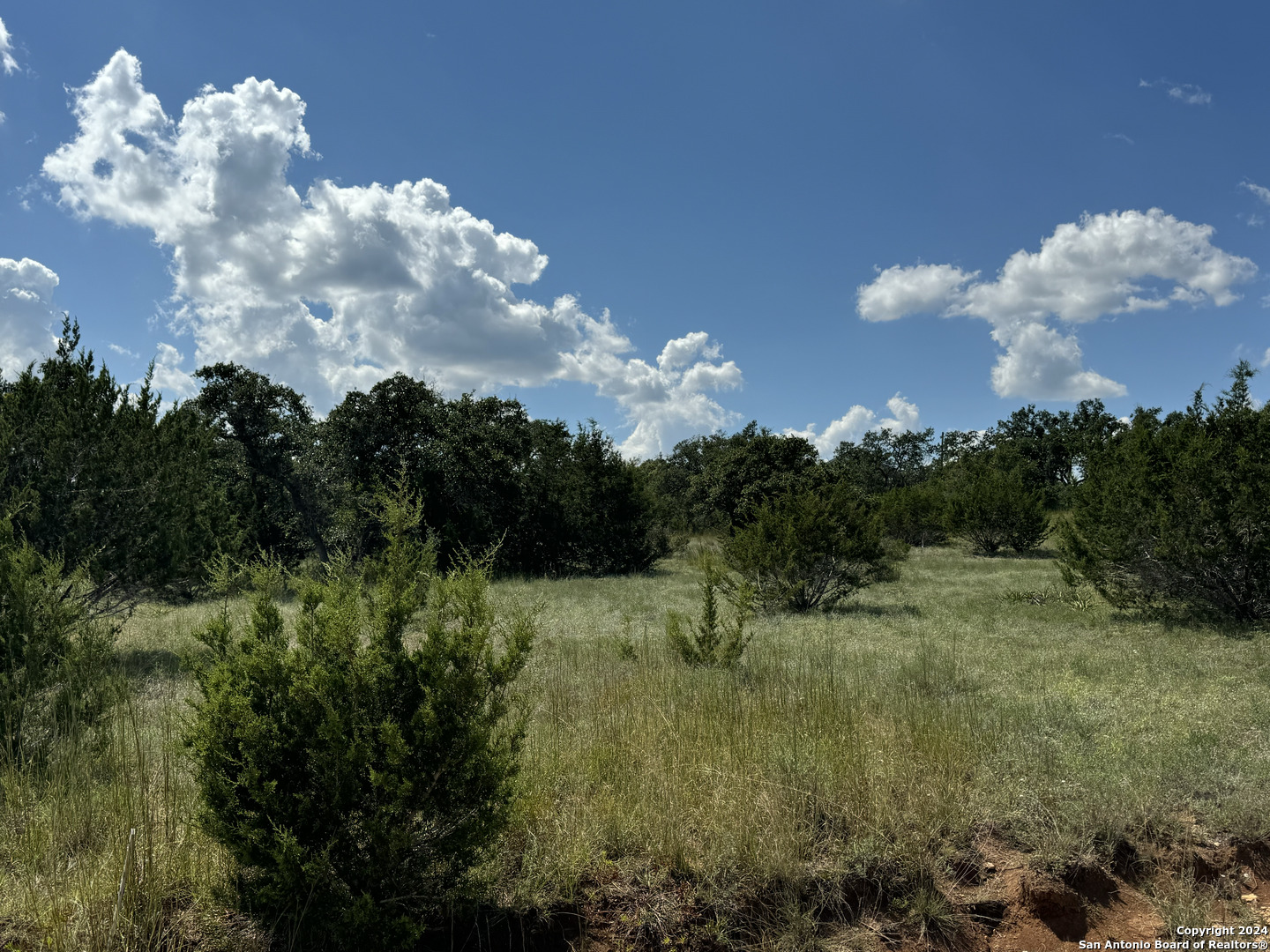 114 Peter Kleid Loop Blanco, TX 78606 - Photo 7 of 17
