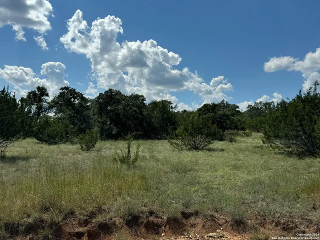 $85,000 | 114 Peter Kleid Loop, Blanco, TX 78606