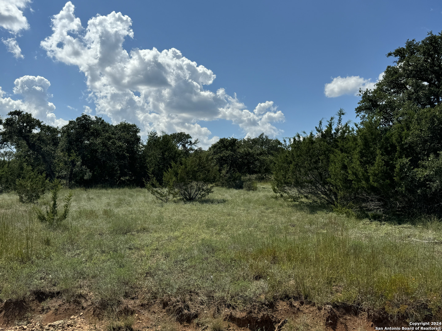 114 Peter Kleid Loop Blanco, TX 78606 - Photo 9 of 17
