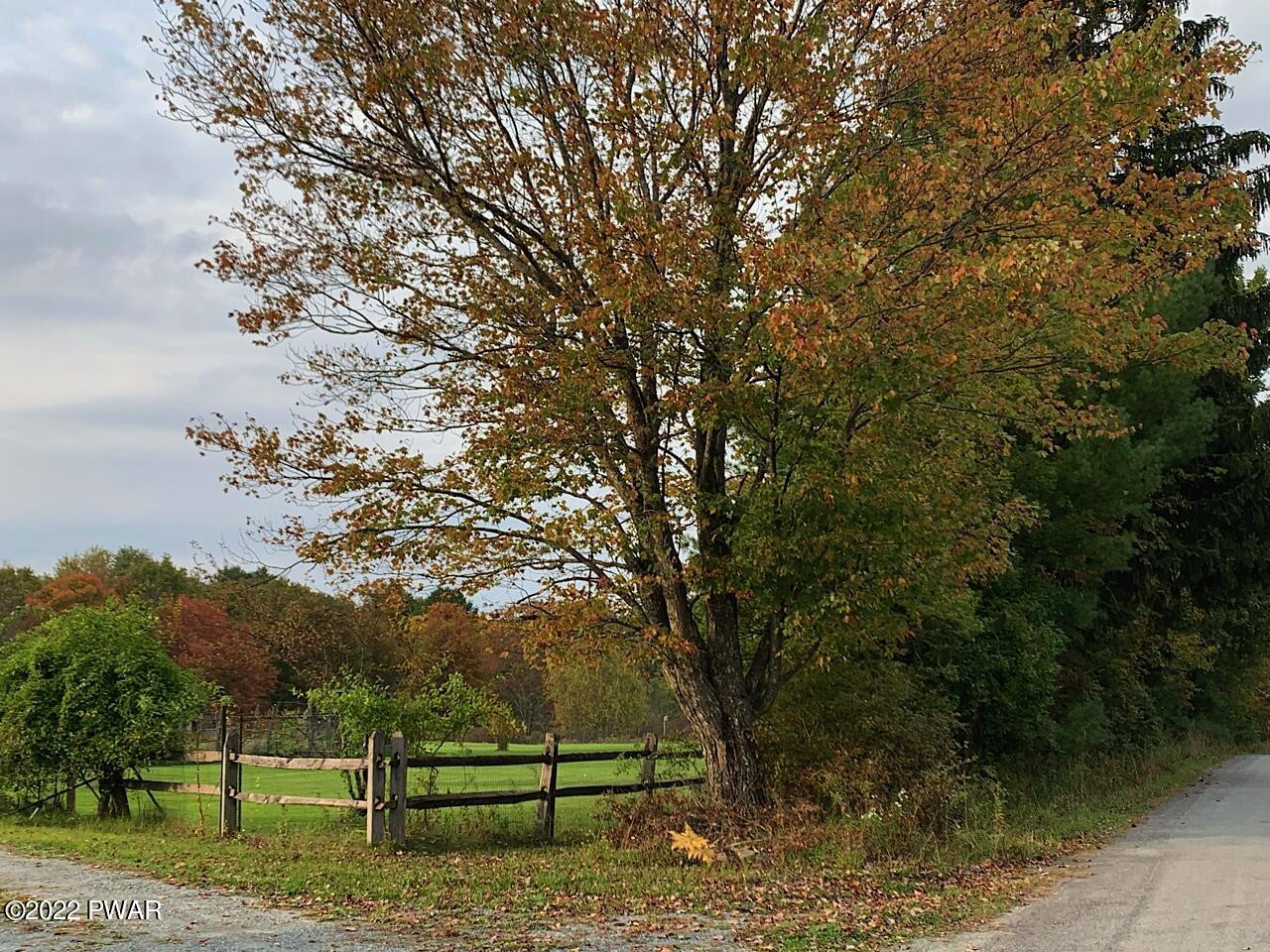 229 Atco Road Beach Lake, PA 18405 - Photo 74 of 83 FALL VIEW