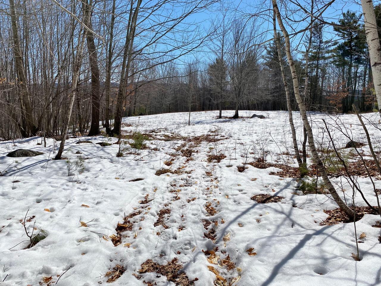 0 Durgintown Road Hiram, ME 04041 - Photo 11 of 21 Hiram 13