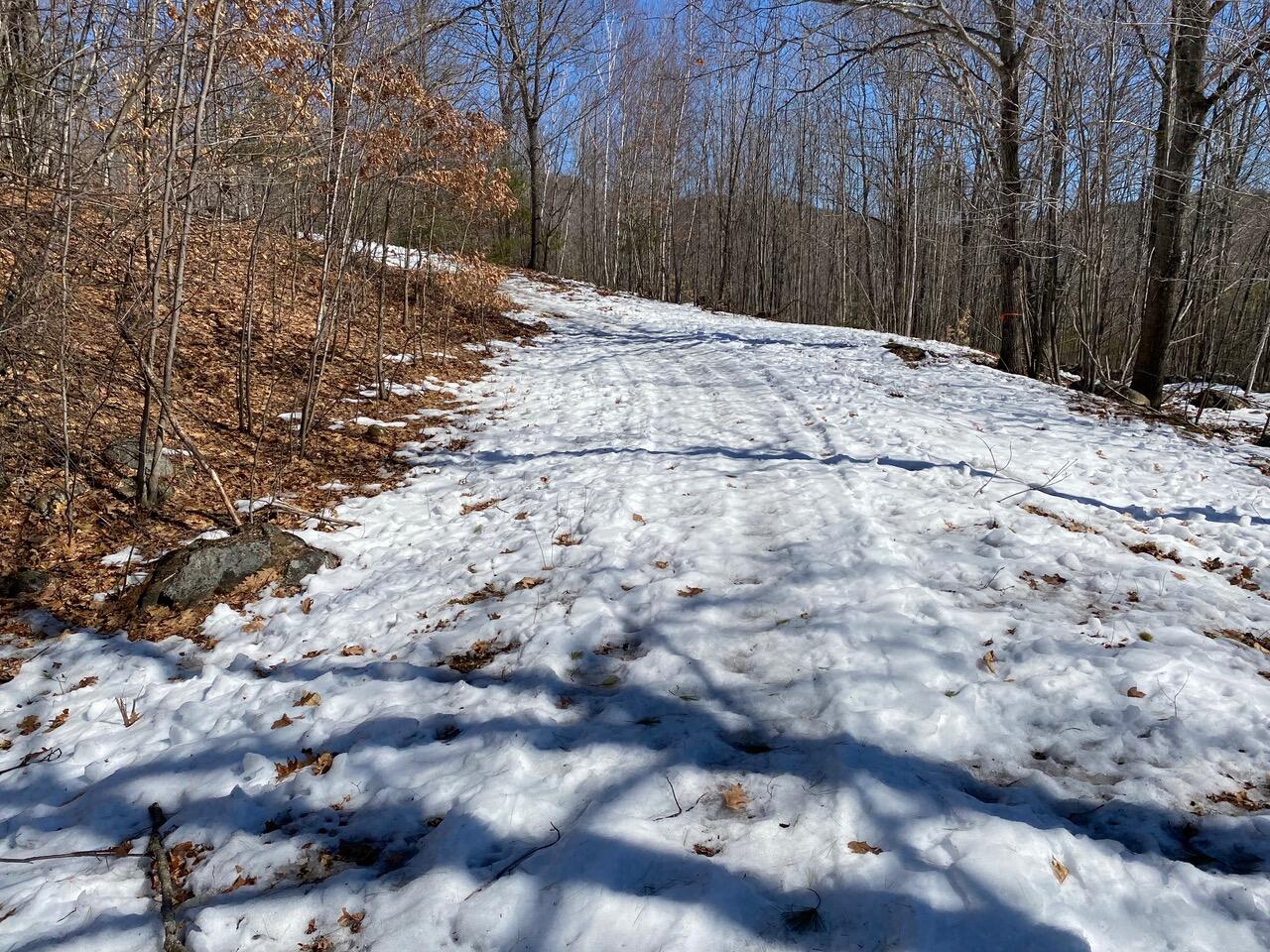 0 Durgintown Road Hiram, ME 04041 - Photo 13 of 21 Hiram Road 1