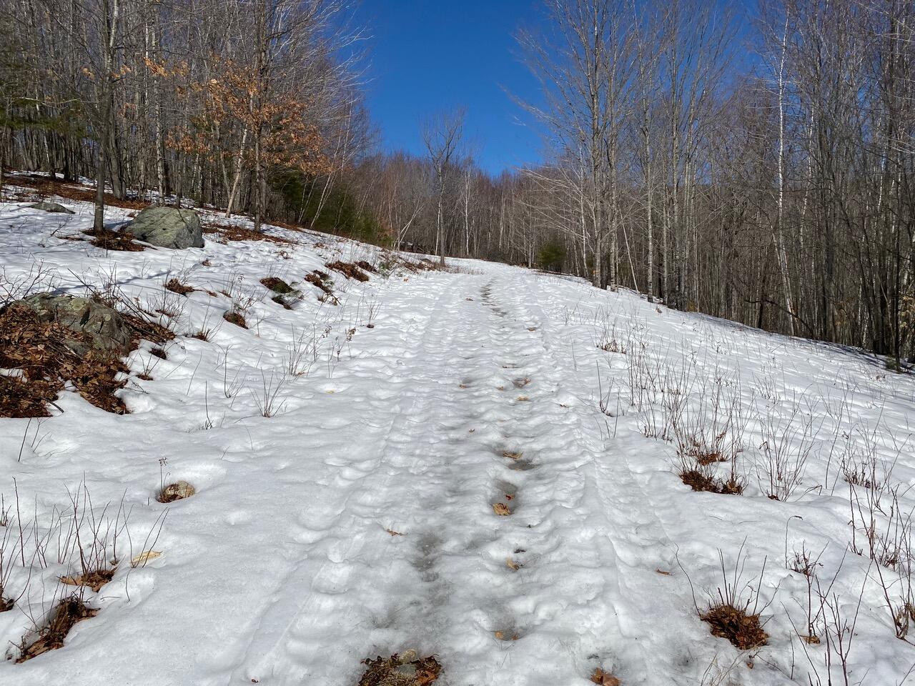 0 Durgintown Road Hiram, ME 04041 - Photo 14 of 21 Hiram Road 3