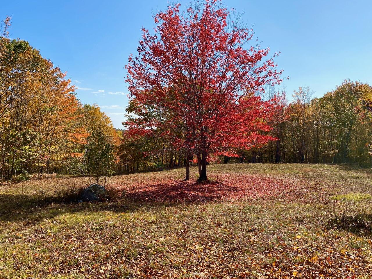 0 Durgintown Road Hiram, ME 04041 - Photo 16 of 21 IMG_1073