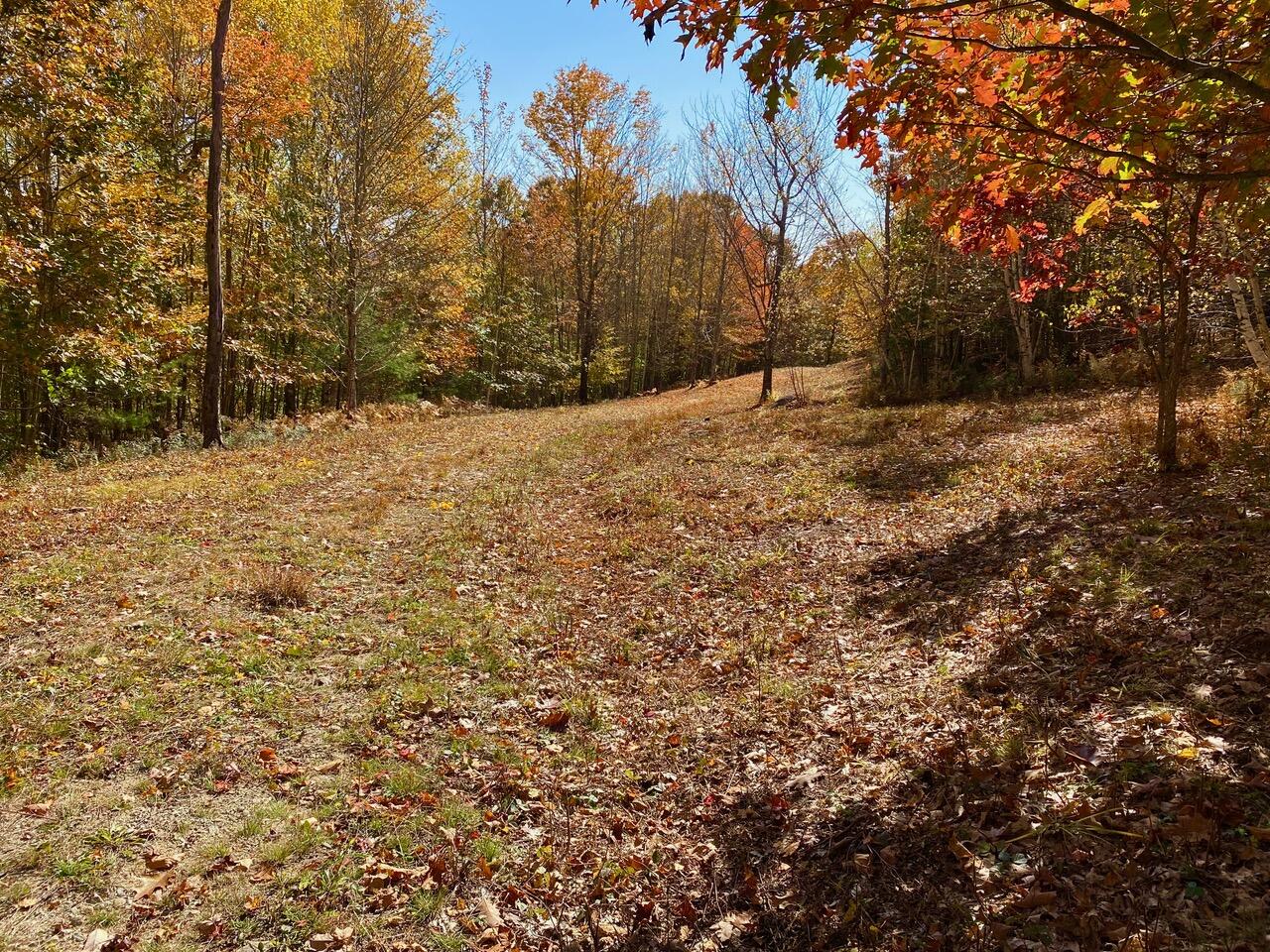 0 Durgintown Road Hiram, ME 04041 - Photo 17 of 21 IMG_1085