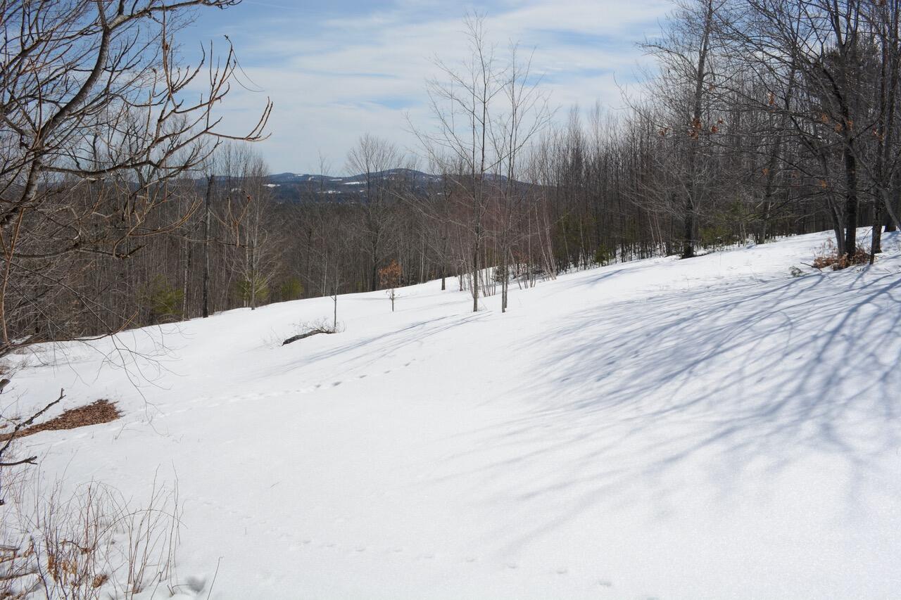 0 Durgintown Road Hiram, ME 04041 - Photo 5 of 21 DSC_0336