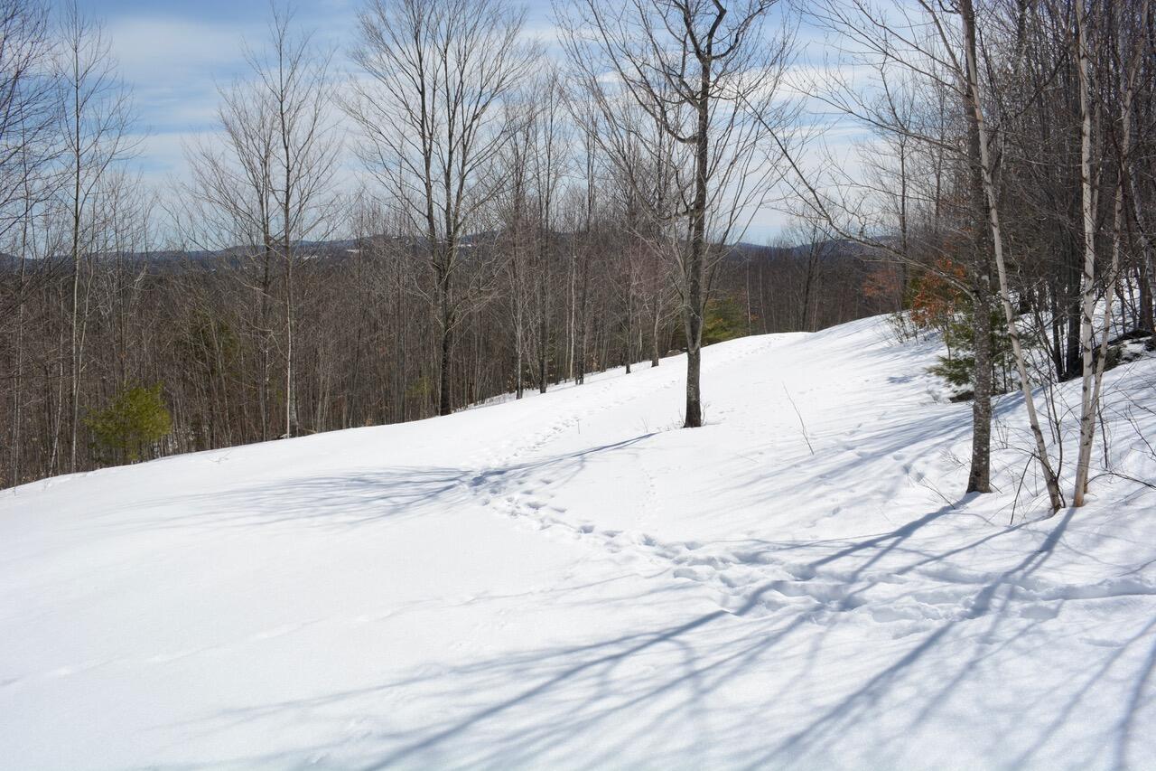 0 Durgintown Road Hiram, ME 04041 - Photo 7 of 21 DSC_0340
