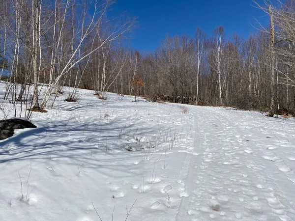 $158,000 | 0 Durgintown Road, Hiram, ME 04041