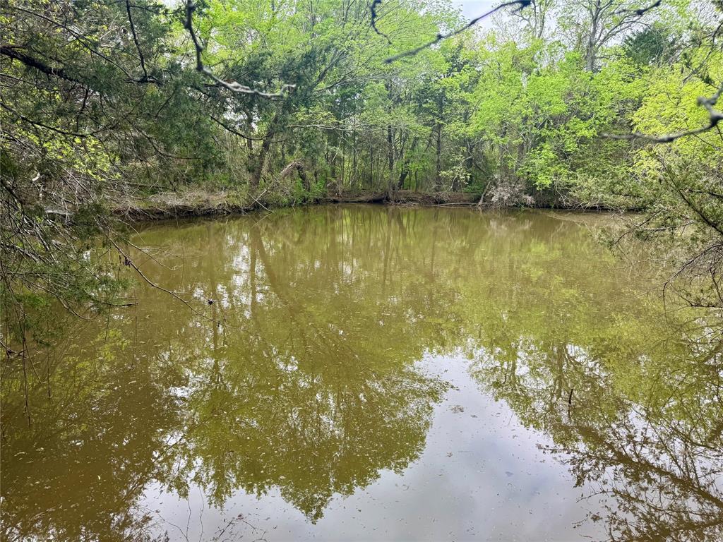 0 Cr 1037 Road Greenville, TX 75401 - Photo 12 of 19
