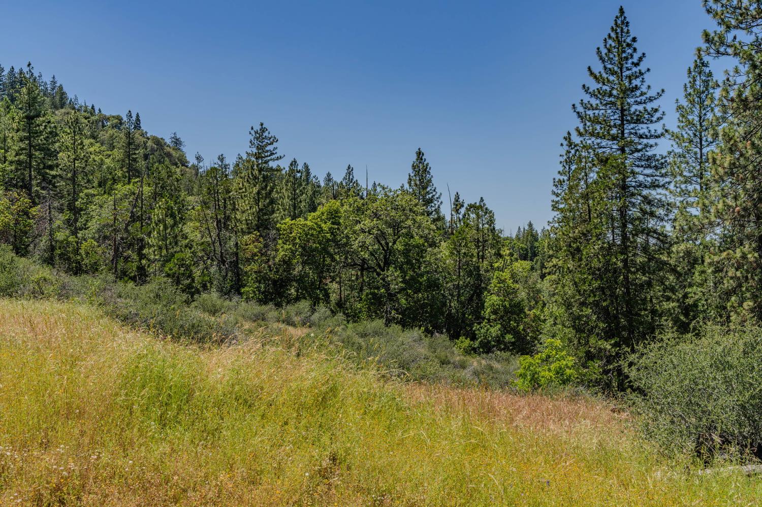 0 Schaefer Ranch Road Pioneer, CA 95666 - Photo 22 of 72