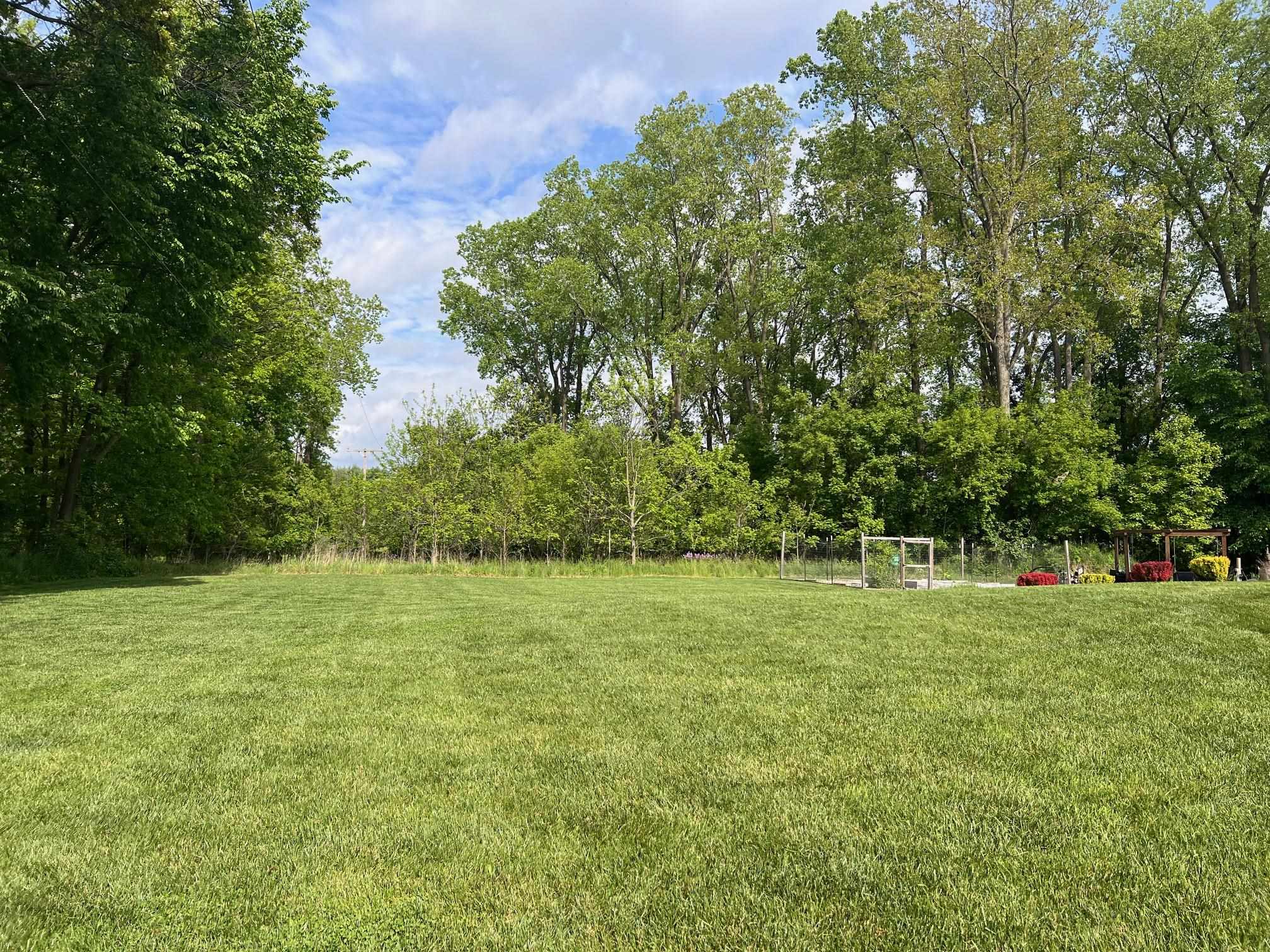 4264 Benjamin Road Perry, MI 48872 - Photo 37 of 46