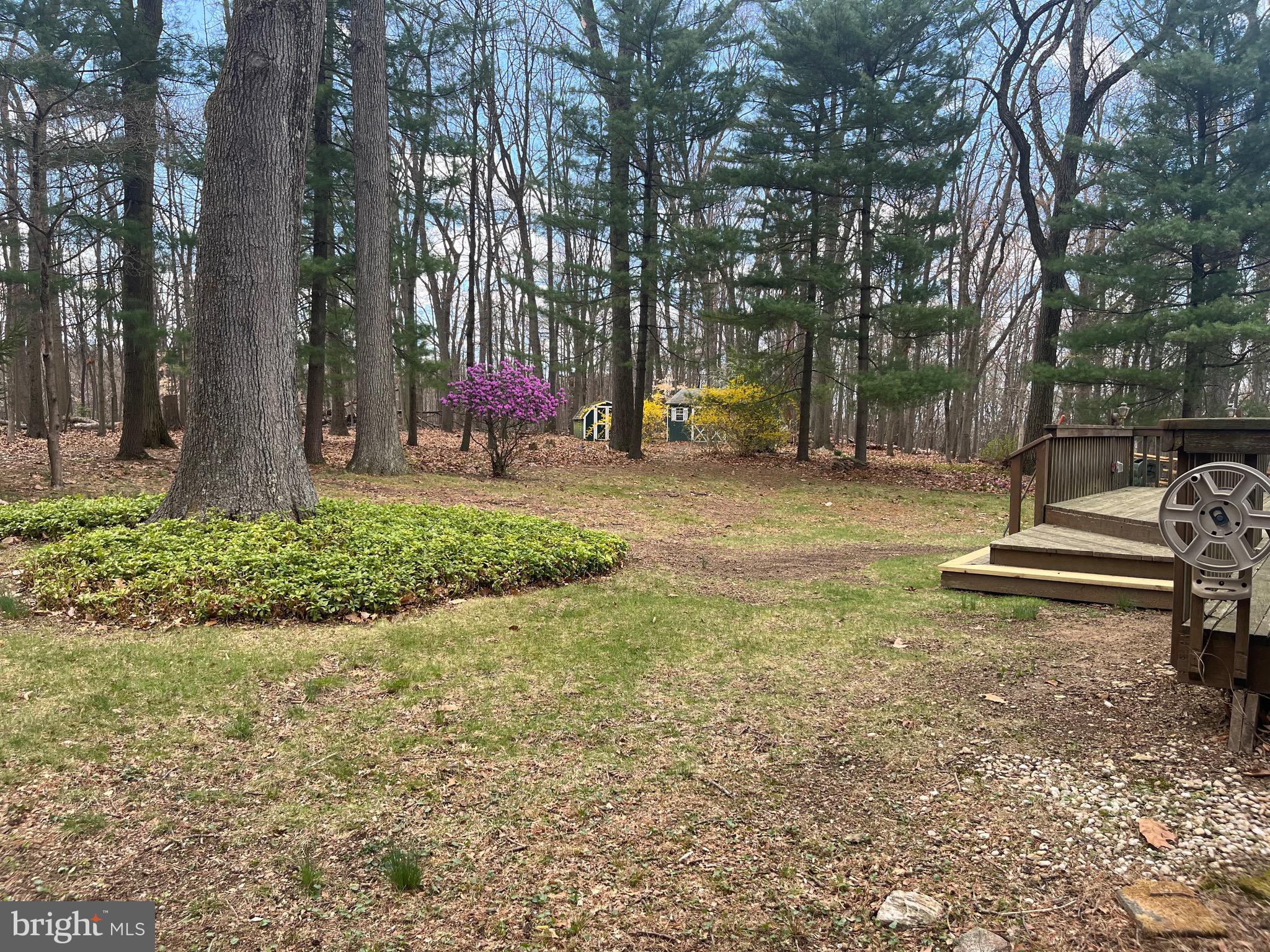 117 Spring Road Malvern, PA 19355 - Photo 13 of 25 a view of a yard with plants and trees