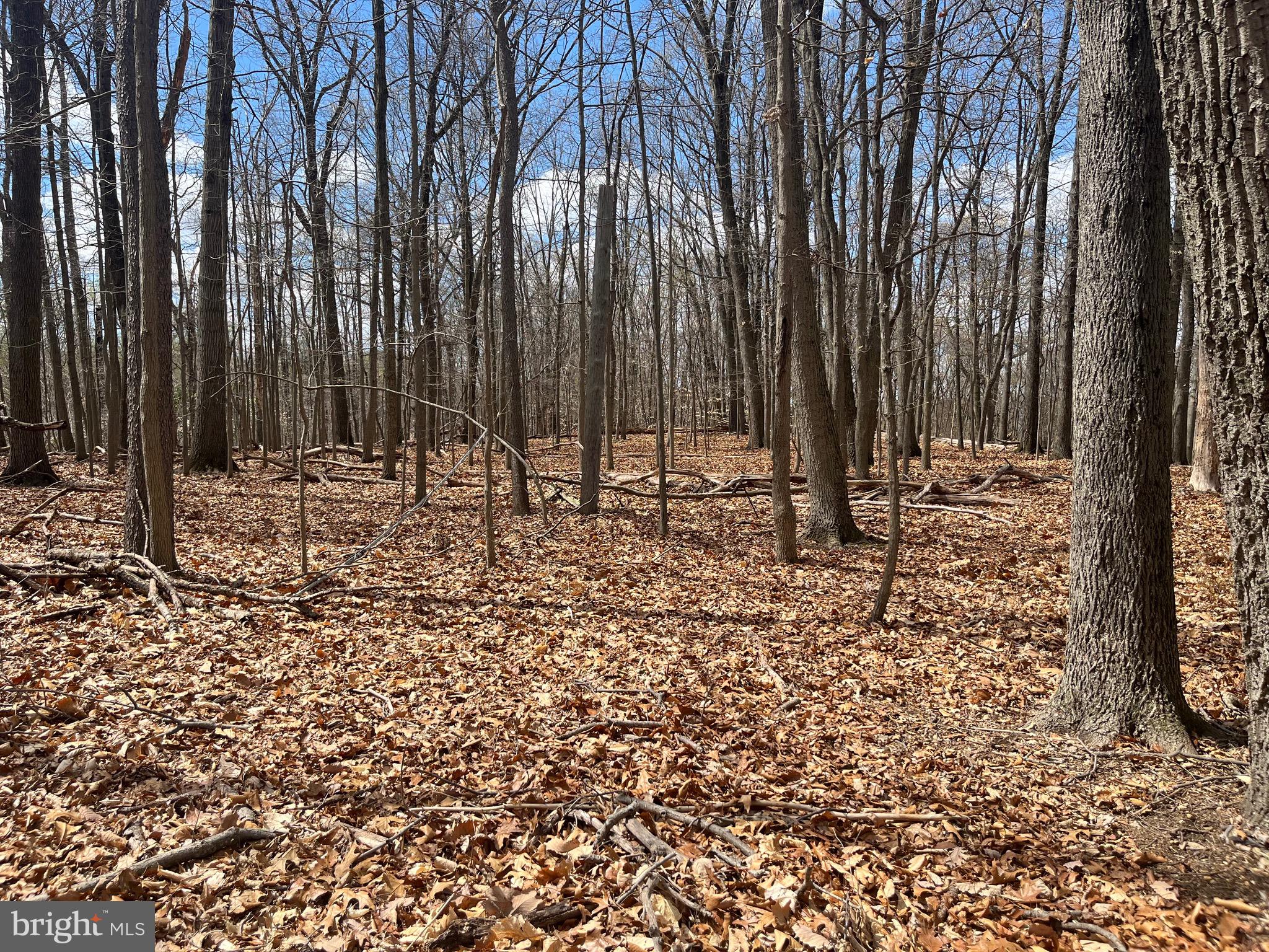 117 Spring Road Malvern, PA 19355 - Photo 14 of 25 a view of outdoor space with sink