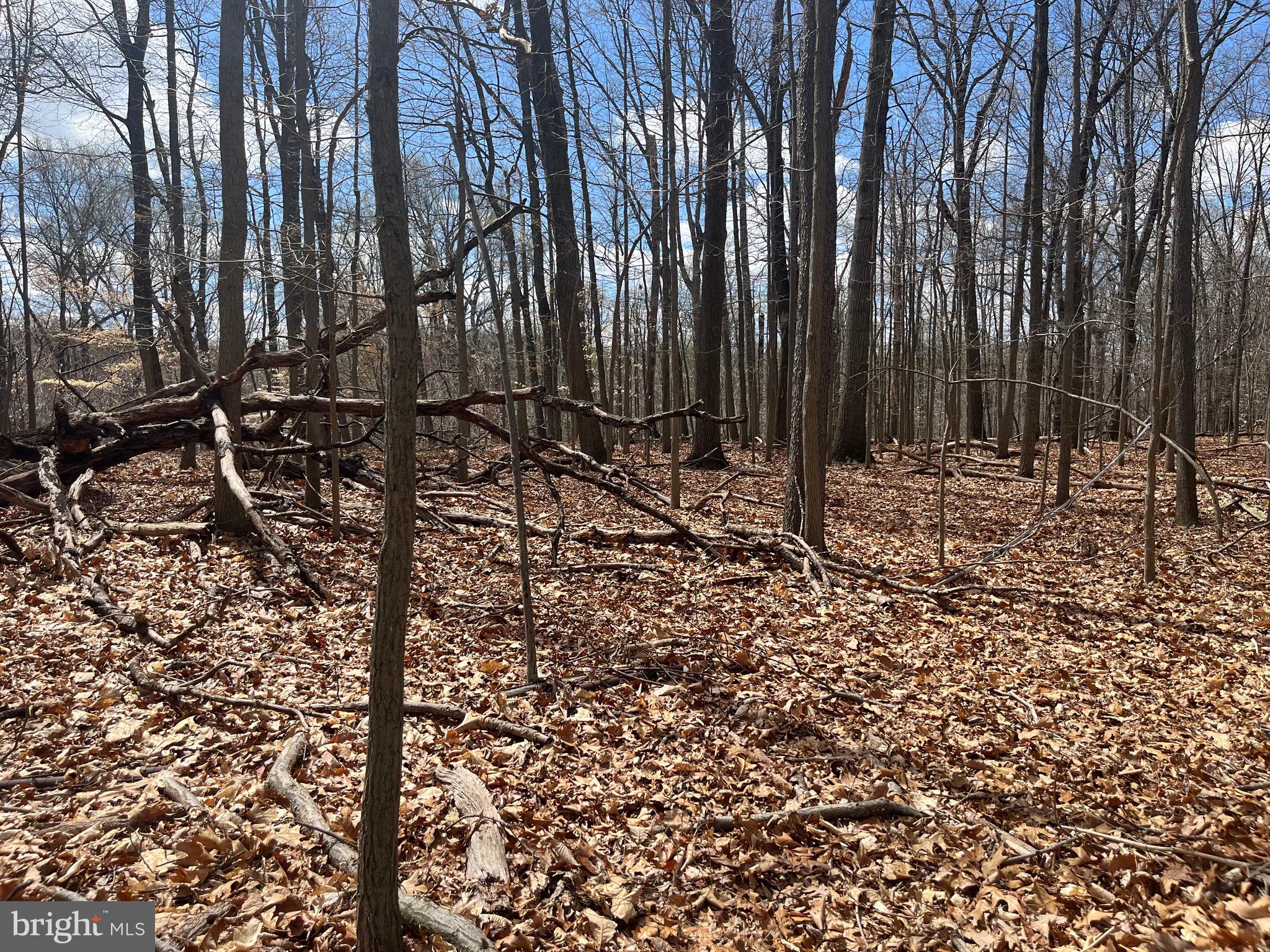 117 Spring Road Malvern, PA 19355 - Photo 15 of 25 a view of outdoor space with chairs