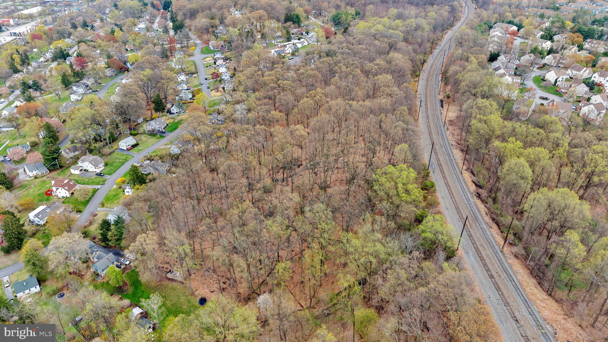 117 Spring Road Malvern, PA 19355 - Photo 7 of 25 a close up of a plant