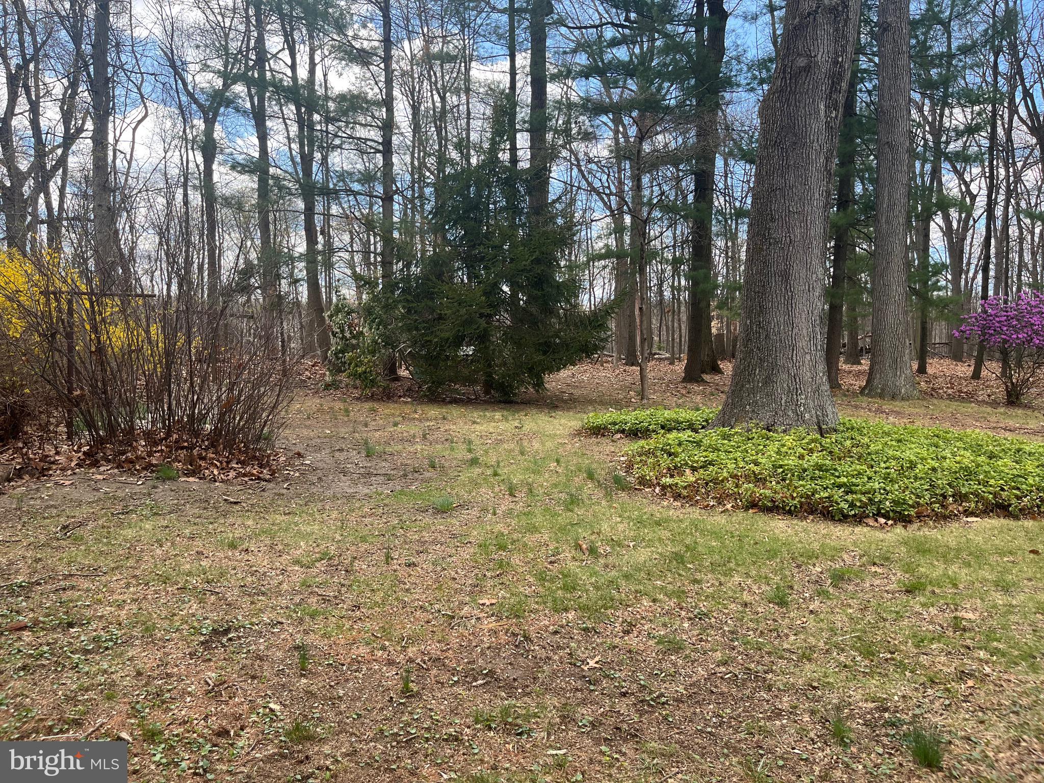 117 Spring Road Malvern, PA 19355 - Photo 10 of 25 a fire hydrant in the middle of a field