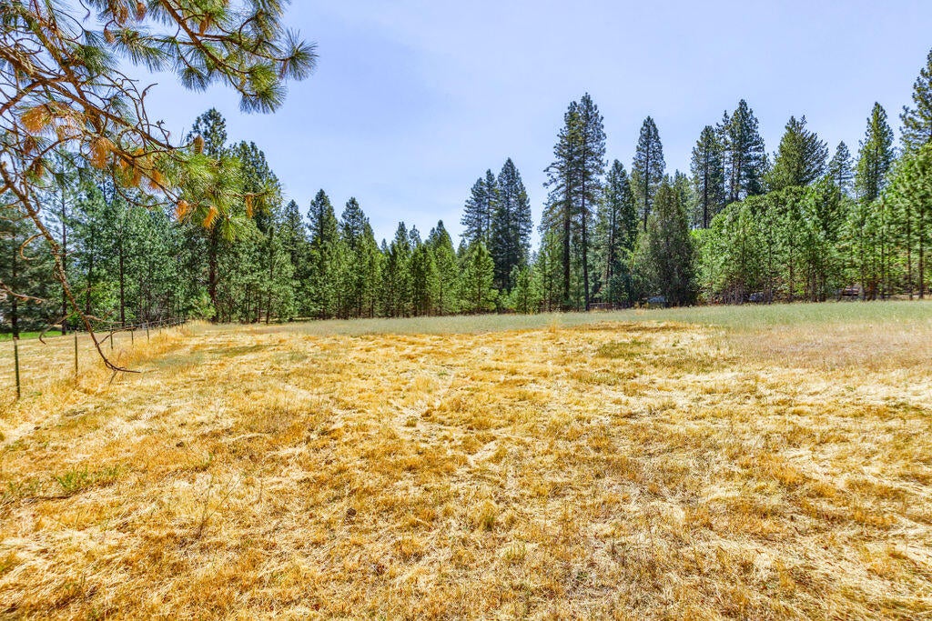 1065 Minthorne Road Rogue River, OR 97537 - Photo 9 of 49 MR(18)