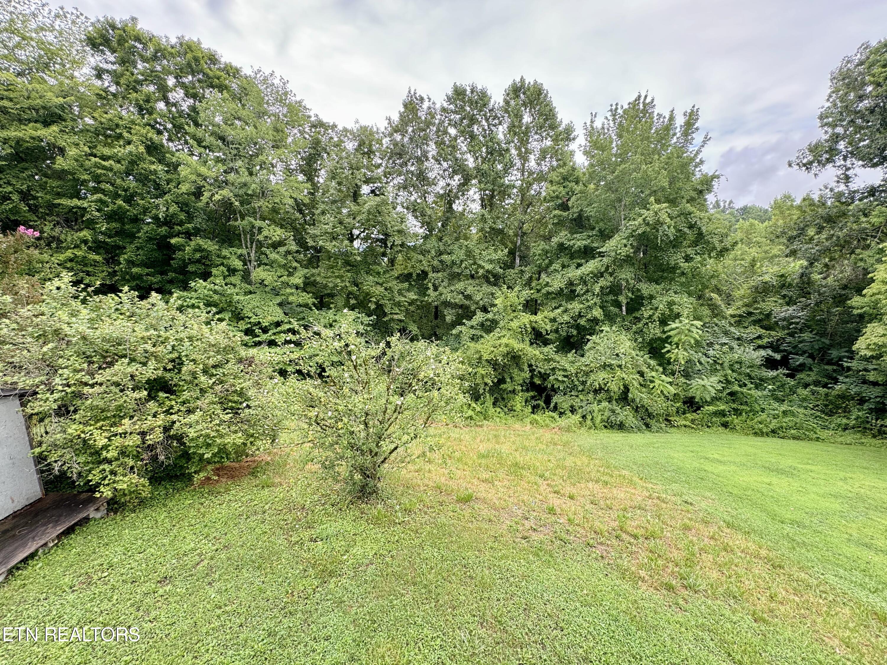 530 McDeerman Road Jacksboro, TN 37757 - Photo 34 of 37 IMG_3430