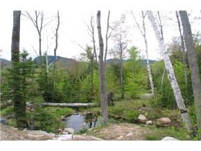 23 Stanton Farm Road Bartlett, NH 03838 - Photo 2 of 5