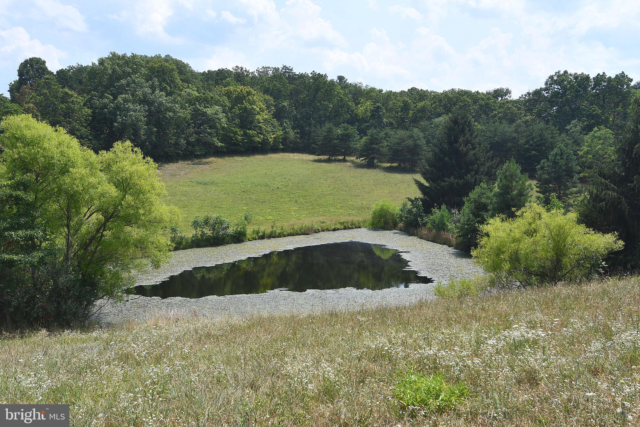 988 Johnsons Mill Road Berkeley Springs, WV 25411 - Photo 15 of 68