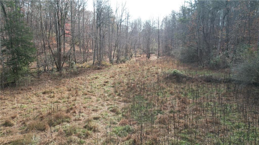 a view of small space with trees