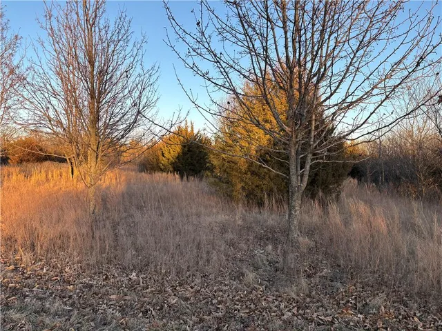 $27,500 | 34-38 Louisiana Drive, Linn Valley, KS 66040