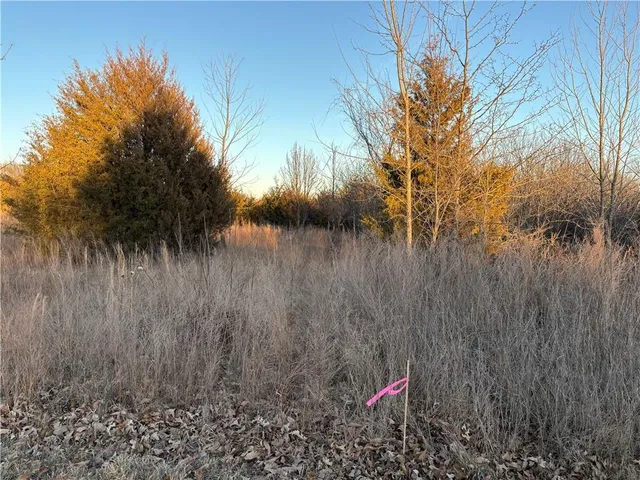 $27,500 | 34-38 Louisiana Drive, Linn Valley, KS 66040