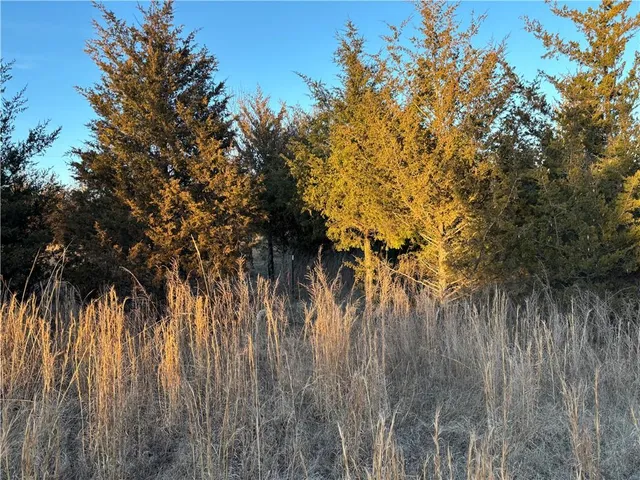 $27,500 | 34-38 Louisiana Drive, Linn Valley, KS 66040