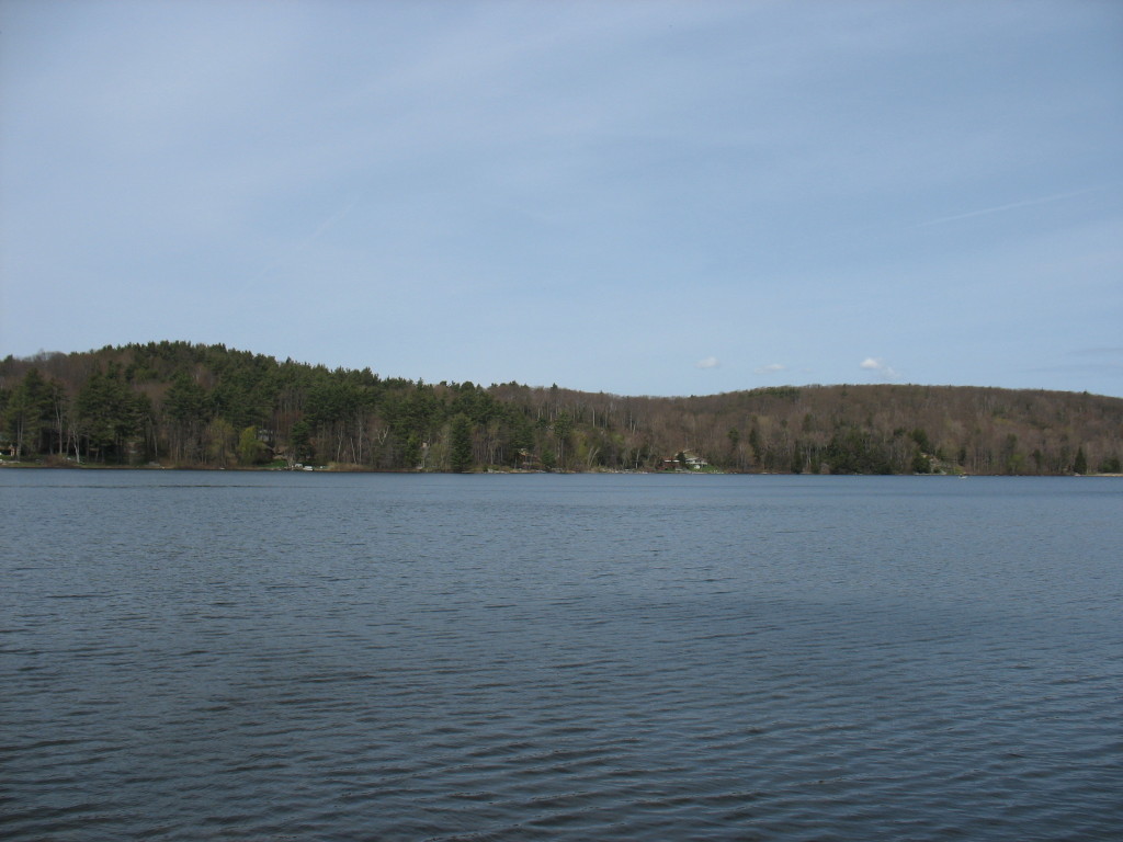 13 Cooper Creek Road Tyringham, MA 01238 - Photo 15 of 32 Goose pond