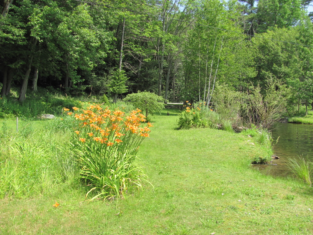 13 Cooper Creek Road Tyringham, MA 01238 - Photo 20 of 32 Additional lot
