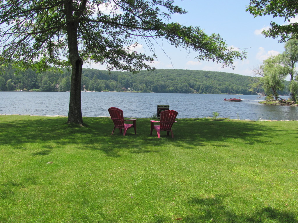 13 Cooper Creek Road Tyringham, MA 01238 - Photo 26 of 32 back yard, pond front