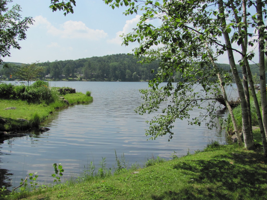 13 Cooper Creek Road Tyringham, MA 01238 - Photo 28 of 32 Inlet dividing property