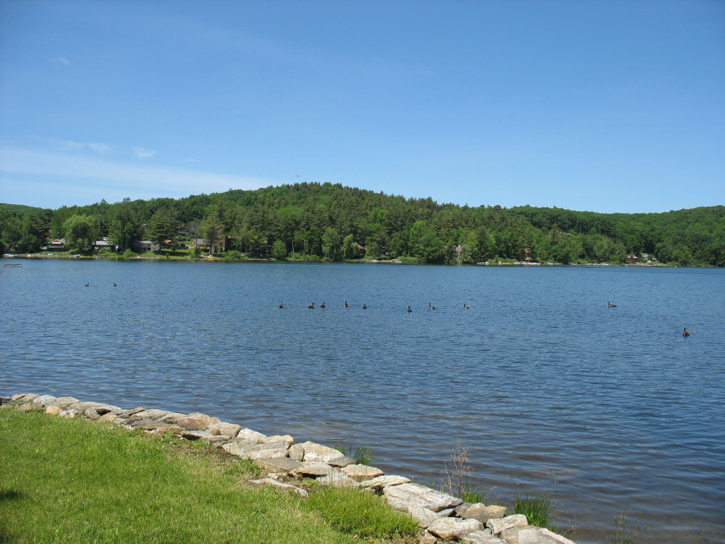 13 Cooper Creek Road Tyringham, MA 01238 - Photo 4 of 32 from brook