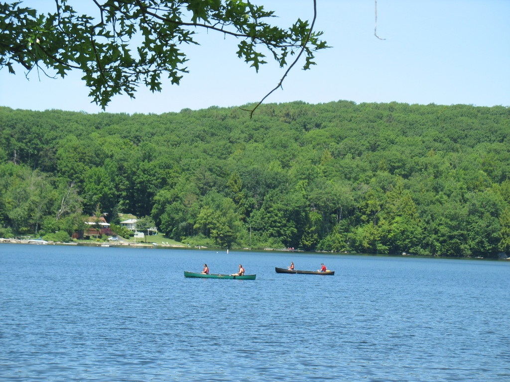 13 Cooper Creek Road Tyringham, MA 01238 - Photo 5 of 32 pond