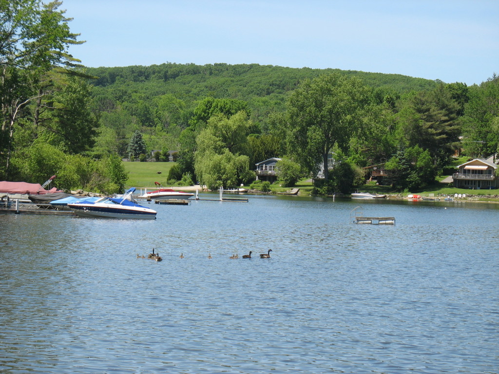 13 Cooper Creek Road Tyringham, MA 01238 - Photo 6 of 32 lake front