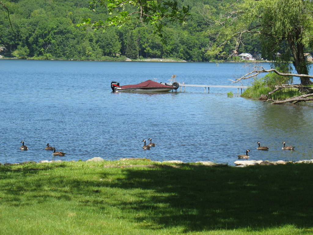 13 Cooper Creek Road Tyringham, MA 01238 - Photo 7 of 32 VIEW FROM FRONT YARD
