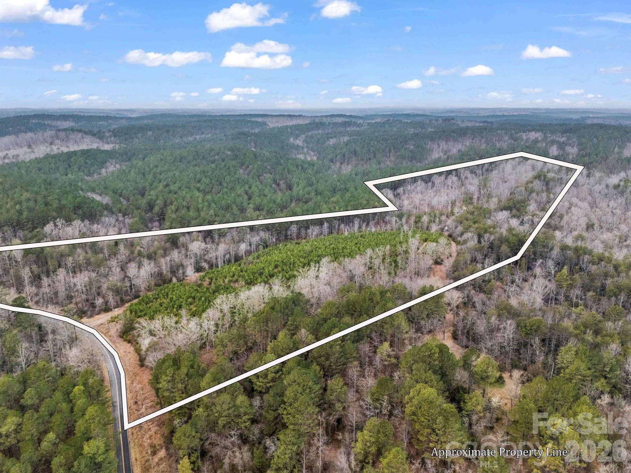 0 River Road Rutherfordton, NC 28139 - Photo 1 of 41 Gallery Image 1