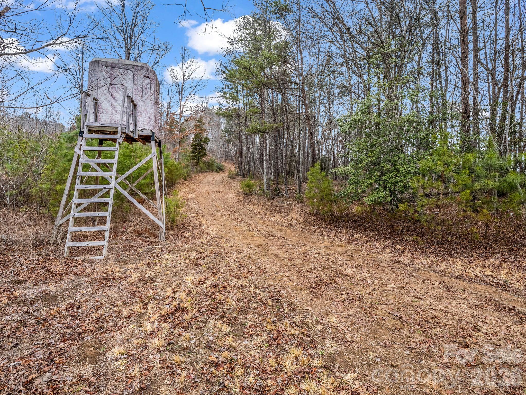 0 River Road Rutherfordton, NC 28139 - Photo 11 of 41 Gallery Image 11