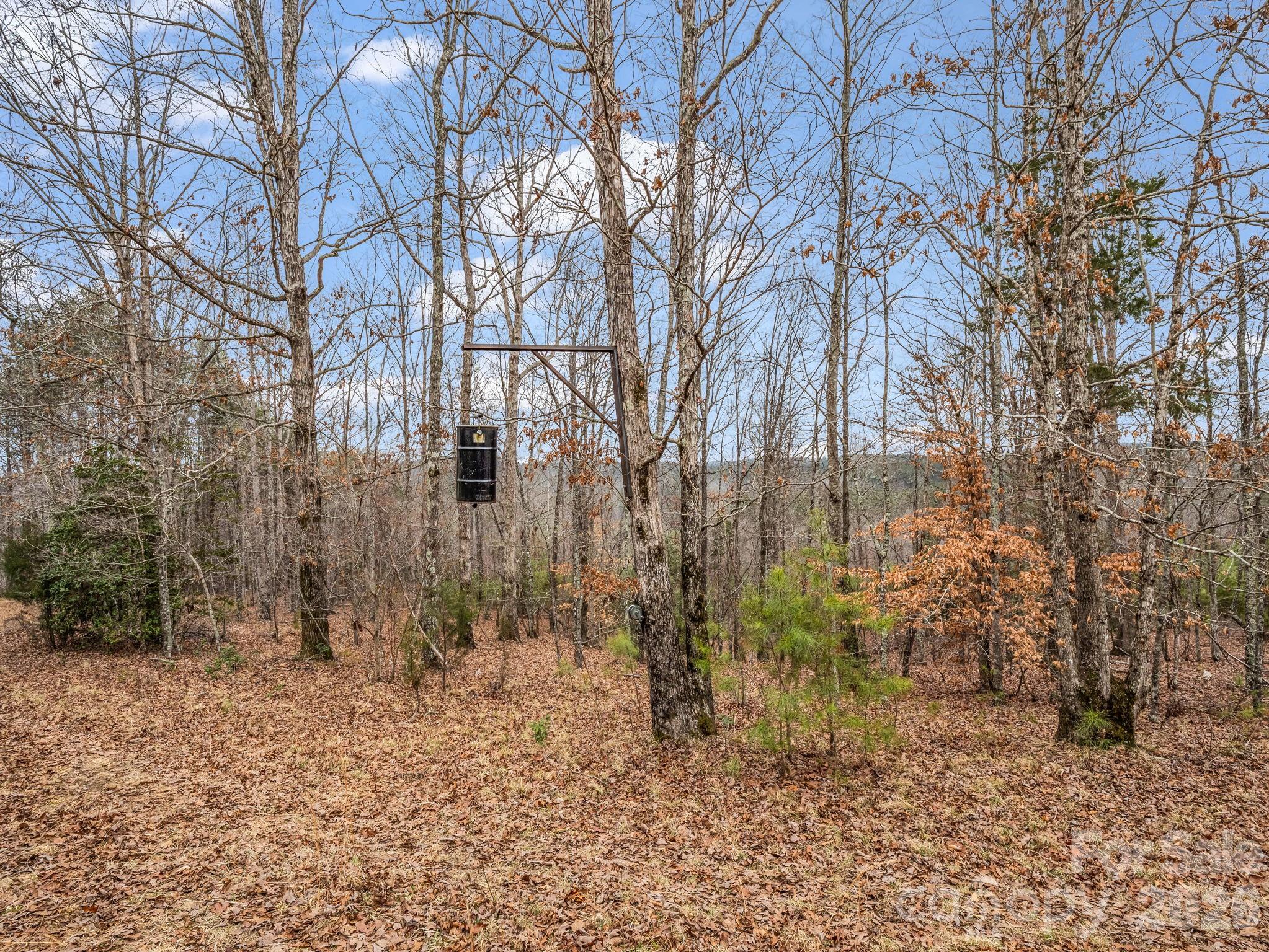 0 River Road Rutherfordton, NC 28139 - Photo 12 of 41 Gallery Image 12